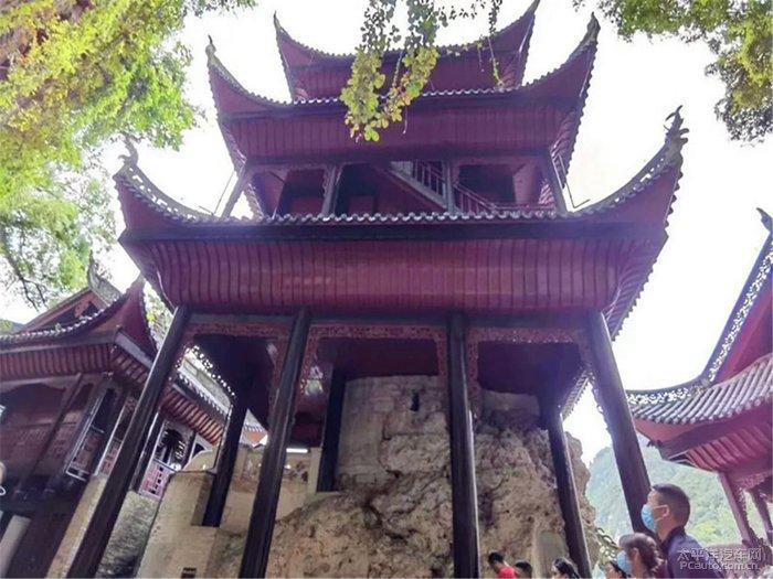 大寒节,冬天喝茶有讲究,这3个茶圈“知名”谣传别再信了